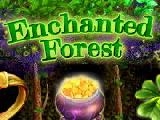 Jouer à Enchanted forest