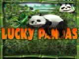 Jouer à Lucky pandas