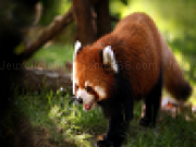 Jouer à Red panda slide puzzle