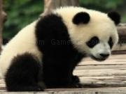 Jouer à Panda jigsaw