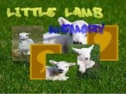 Jouer à Little lamb memory