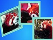 Jouer à Red pandas in winter puzzle