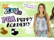 Jouer à Pet Academy