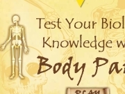 Jouer à Test your biology knowledge with body parts
