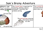 Jouer à Sams brainy adventure
