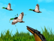 Jouer à The Duck Hunter