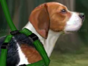 Jouer à Beagle Training