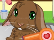 Jouer à Pet Bunny