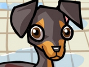 Jouer &agrave; Min Pin