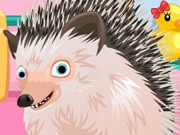 Jouer à Cute Hedgehog