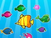 Jouer à Colorful Fish Matching