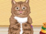 Jouer à Adopt a Kitty