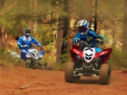 Jouer à Forest ATV Challenge