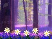 Jouer &agrave; Turkey Asylum Escape Final