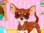 Jouer à Chihuahua Puppy Care