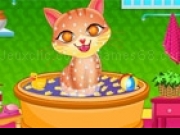 Jouer à Cute Cat Care