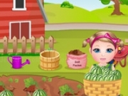 Jouer à Kim Watermelon Farming