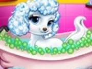 Jouer à Princess Pet Grooming