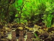 Jouer à Tropical Forest Escape