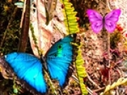 Jouer à Butterfly Forest Escape