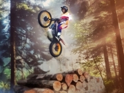 Jouer à Trial Lumber Park