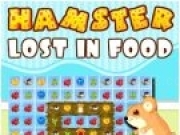 Jouer à Hamster Lost in Food