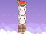 Jouer à Cat cat watermelon