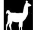 Jouer à Llama adventure