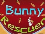 Jouer à Bunny rescuer