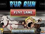 Jouer à Pup run