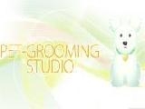 Jouer à Pet grooming studio