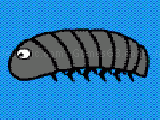 Jouer à Pillbug run