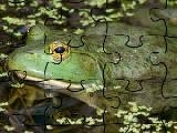 Jouer à Bullfrog jigsaw puzzle