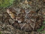 Jouer à Copperhead jigsaw puzzle