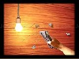 Jouer à Moth stapler