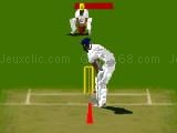 Jouer à Virtual cricket