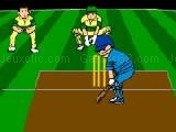 Jouer à Virtual cricket 2