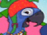 Jouer à Rio, the flying macaw
