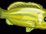 Jouer à Platform game test