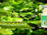 Jouer à Hidden caterpillar