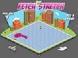 Jouer à Fetch  n stretch