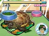 Jouer à Turtle care