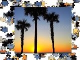 Jouer à Jigsaw: florida sunrise