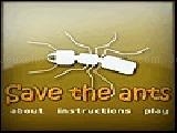 Jouer à save the ants