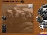 Jouer à puzzle mania - prey