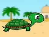 Jouer à turtle crysis