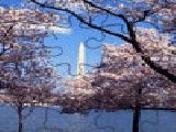 Jouer à blooming cherry trees jigsaw