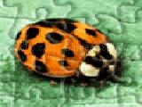 Jouer à lady bug jigsaw