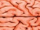Jouer à memory test