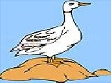 Jouer à Lonely duck coloring